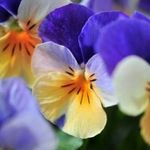 Katherine Fair - @kifairb - Instagram