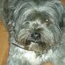 Kathryn Falvey - Facebook