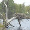 Kathryn Falvey - @kathryn.falvey - TikTok