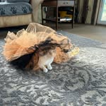 Katherine Farber - @summerlover40 - Instagram