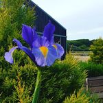 katie - @katherinefielding07 - Instagram