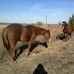 Katherine Forehand - Facebook