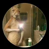 Katherine Fortich Sanchez - @katherine.fortich - TikTok