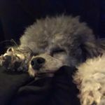 Pissarra… - @katherine_friday - Instagram