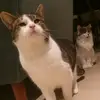 Katherine & Gary - @katherineandgary - TikTok