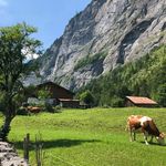 Katherine Getchell - @us_vs_poverty_and_motherearth - Instagram