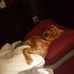 Catharine Glidden - Facebook