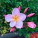 Katherine Glidden - Facebook