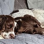 Katherine Hardman - Facebook
