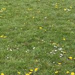 Katherine Hardman - @katherine.hardman.9 - Instagram