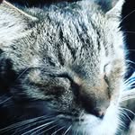 Katherine Hartmann - @hartmann9098 - Instagram