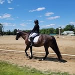 Katherine Herrmann - @khe.dressage - Instagram
