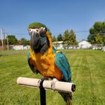 Katherine Hersman - @katz1515 - Instagram