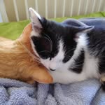 Catherine Jacques - @catherine.jacques.5095 - Instagram