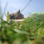 Katherine Jacques - @katherine.jacques - Instagram