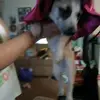 Catherine Jaramillo - @catherine.jaramil - TikTok