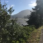 Catherine Jarrell - @scoutj1098 - Instagram
