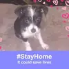 Mary Katherine Jarrell Smith - @mary.katherine.ja - TikTok