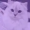 🍡_Katherine Jay_ 🍡 - @katherinejay482 - TikTok