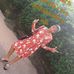 Katherine Jerome - Facebook
