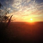 Katherine Stonehouse - @katherinejeromestonehouse - Instagram