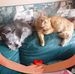 Kathy Kellerman - Facebook