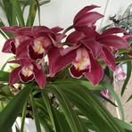 Katherine Kellum - Facebook