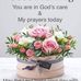 Katherine Kirschstein - Facebook
