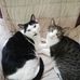 Katherine Klementti - Facebook