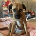Katherine Kolb - Facebook