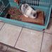 Catherine Kopp - Facebook