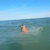 katherine..kopp - @katherine..kopp - TikTok