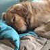 Katherine Kovach - Facebook