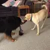 katherinekummerow8 - @katherine.kummero - TikTok
