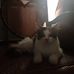 Catherine Labonne  - Facebook