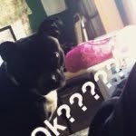 Katherine Ladner - @katherine014563 - Instagram