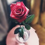 Katherine-Ann Leeper - @daughterofyhwh424 - Instagram