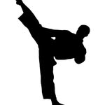 Katherine Lemon - @martialartist014 - Instagram