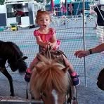 Katherine Lippert - Facebook
