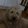 Kat+ liv - @katherinelowke - TikTok