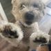 Katherine Lowe - Facebook