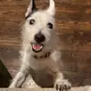 Sarah Katherine Lowe - @dumpy.gov2 - TikTok