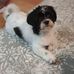Catherine Lyall - Facebook