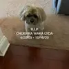Katherine Lyda - @katherine.lyda - TikTok