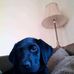Catherine Macarthur - Facebook