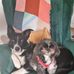 Catherine MacArthur - Facebook