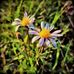 Catherine MacArthur - Facebook
