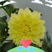 Catherine Manley - Facebook