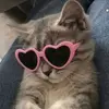 katherinemmason - @katherinemmason2 - TikTok