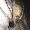 Kathryn Mason - @kathryn.mason77 - TikTok